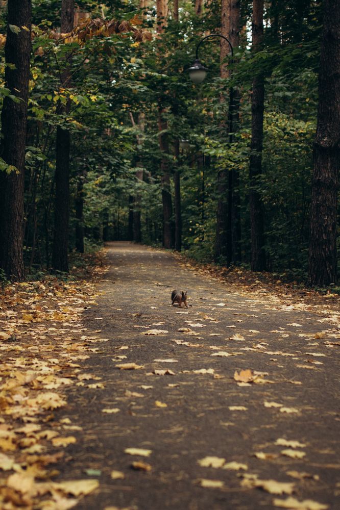 Photograph by Гузель Миникаева