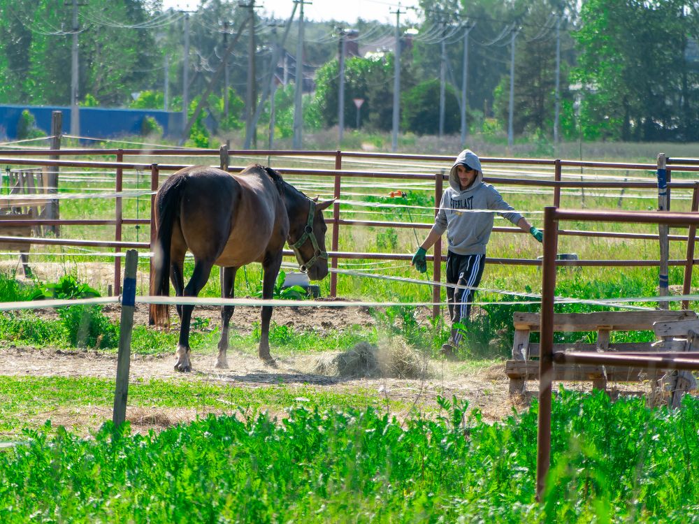 Photograph by Руслан Ибрагимов