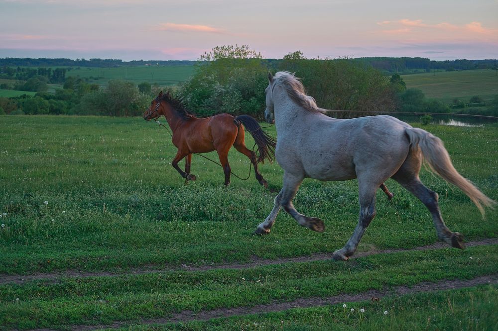 Photograph by Татьяна Михеева