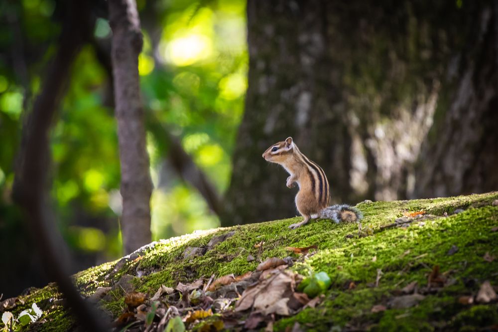 Photograph by Валентин Кольцов