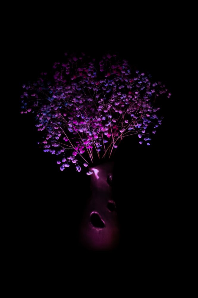 Photograph by Елена