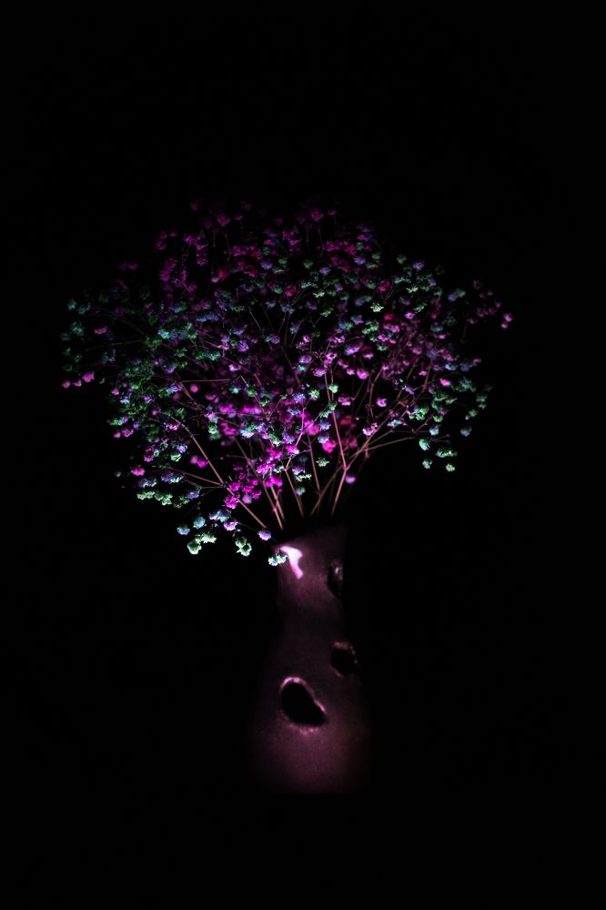 Photograph by Елена