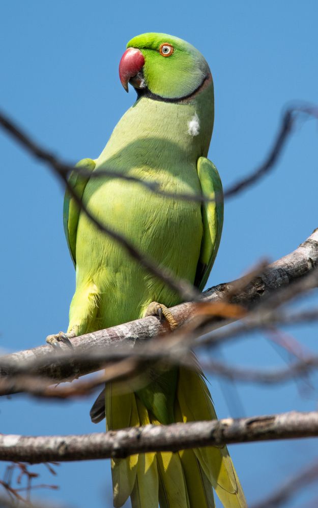 Фотография автора Mohammed sajd