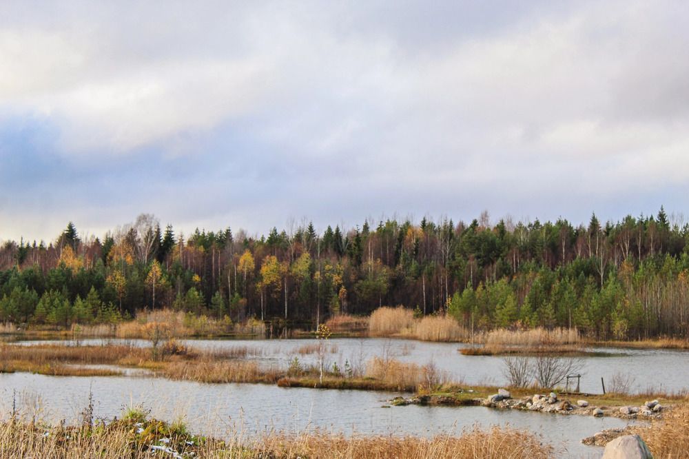 Photograph by Дарья