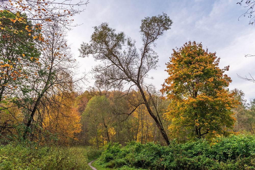 Photograph by Валерий Петухов