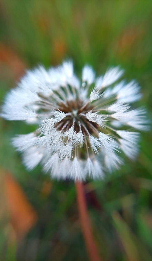 Фотография автора Сергей Можаев