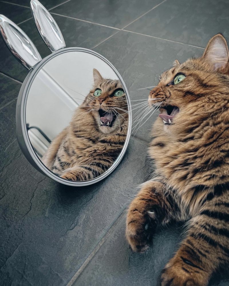 Photograph by Ольга