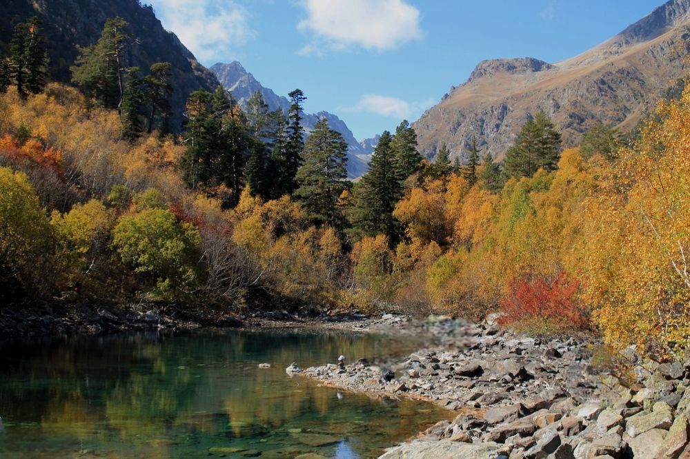 Фотография автора Таня Долгушева