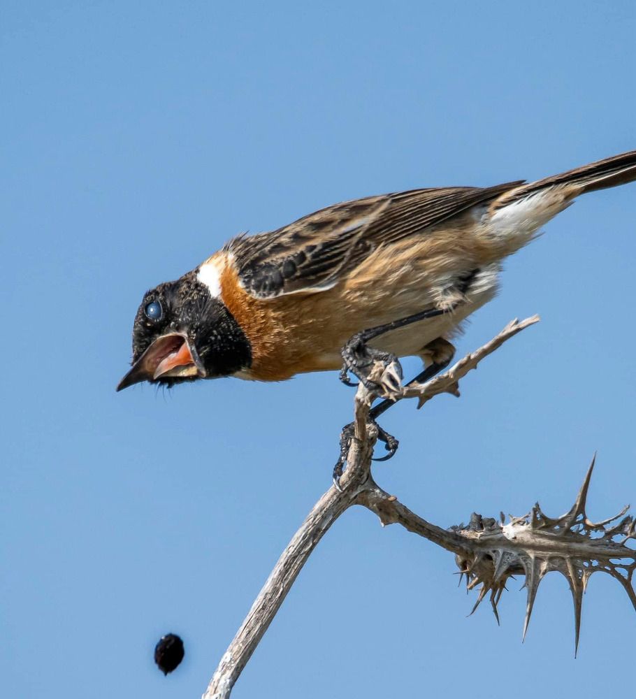 Фотография автора Mohammed sajd