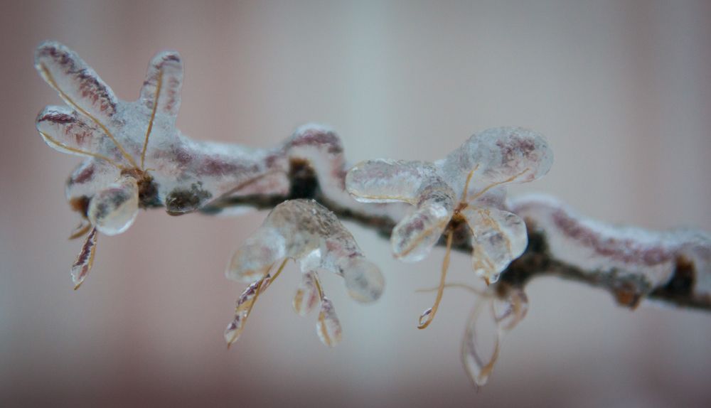 Photograph by Дария Максимова