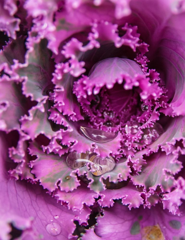 Photograph by Дария Максимова