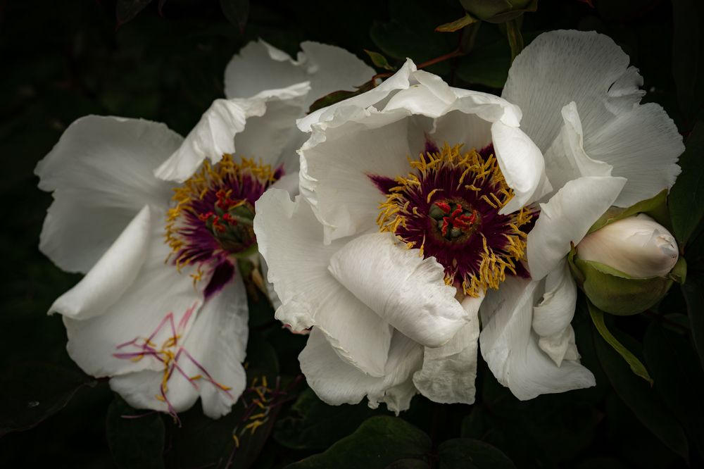 Photograph by Дария Максимова