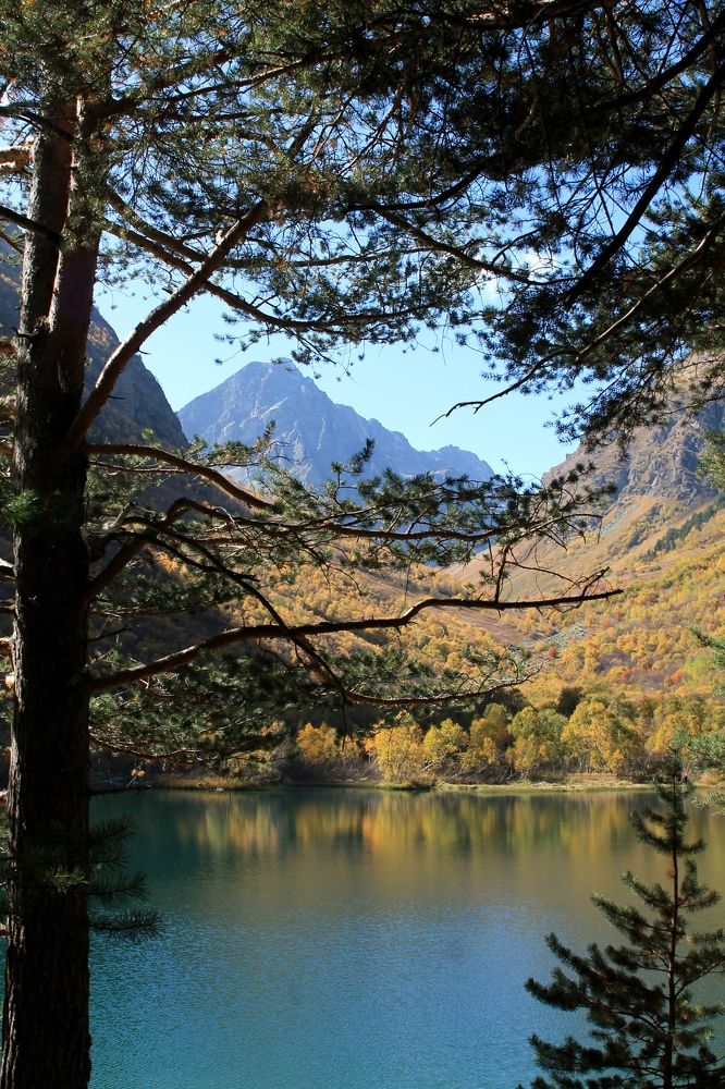 Photograph by Татьяна Долгушева