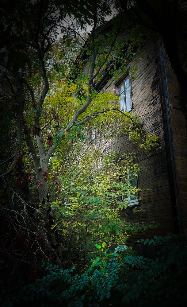 House of Forgotten Spirits