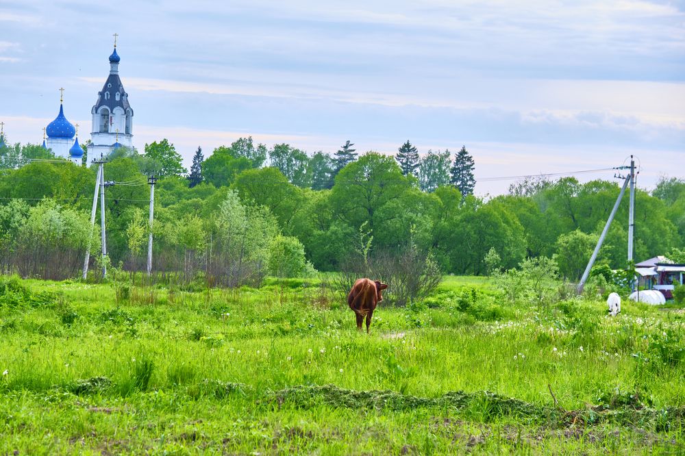 Photograph by Руслан Ибрагимов