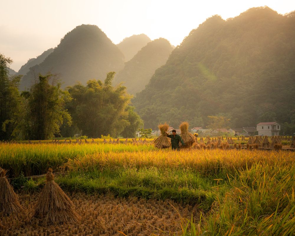 Photograph by MT-nguyen