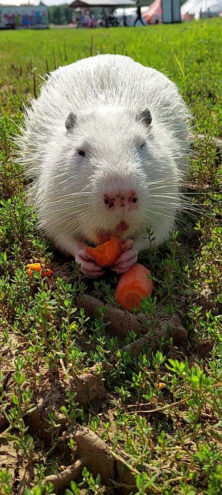 Фотография автора Сергей Можаев
