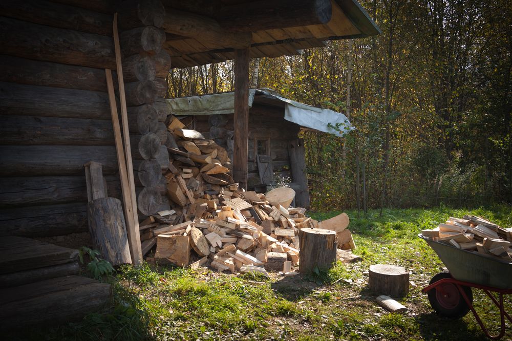 Photograph by Olga Snai