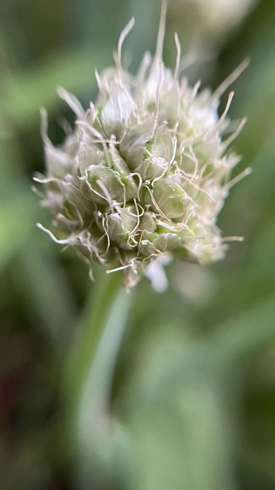 Photograph by Анастасия Сенькевич