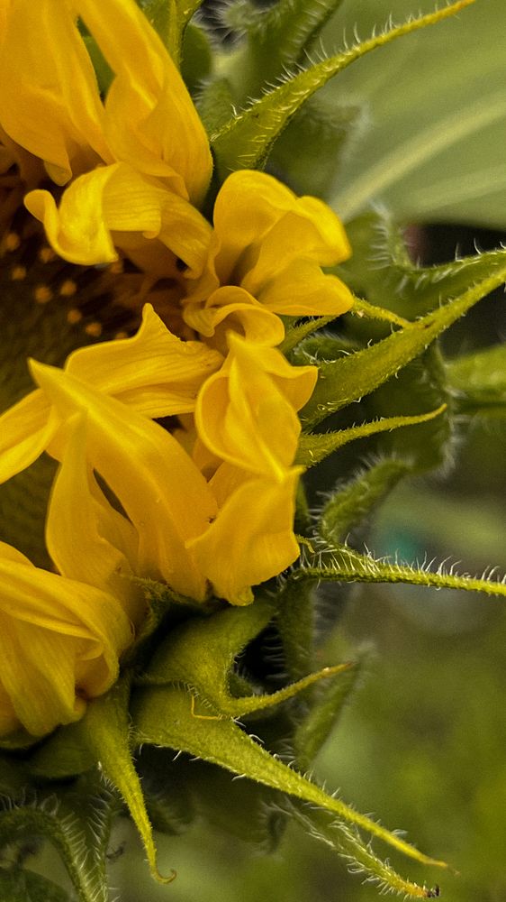 Photograph by Анастасия Сенькевич