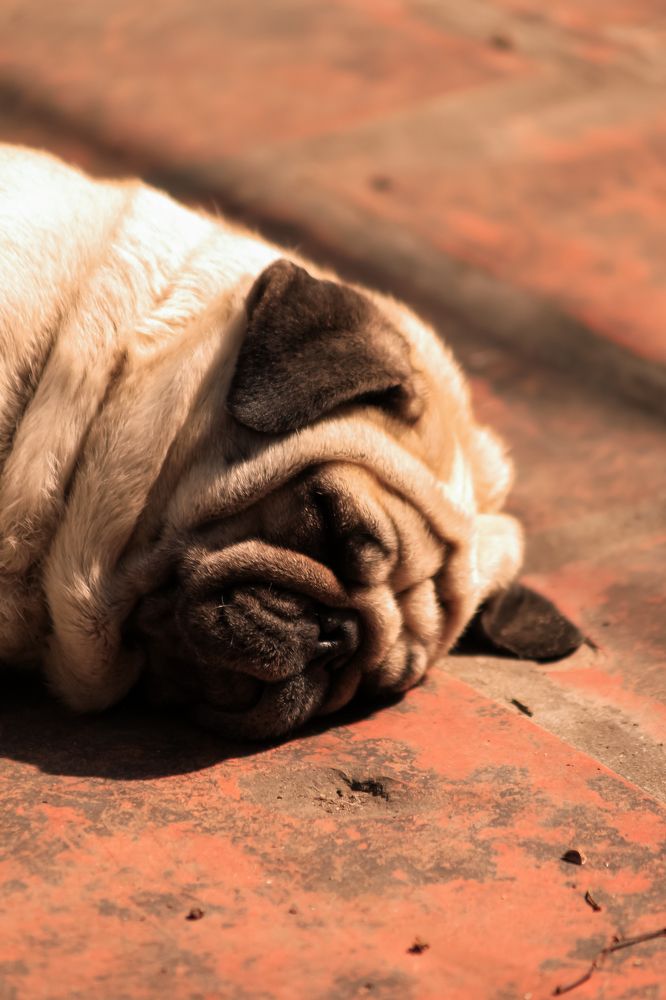 Фотография автора Bùi Nguyễn