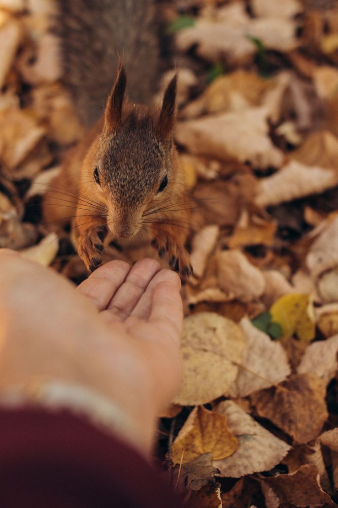 Photograph by Гузель Миникаева