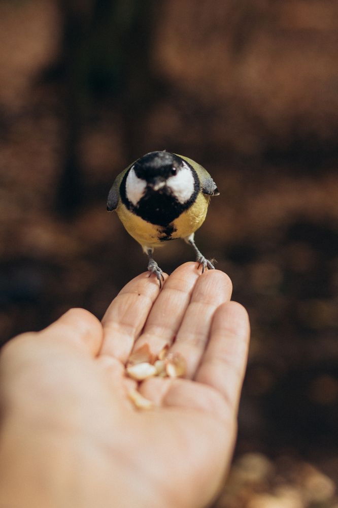 Photograph by Гузель Миникаева