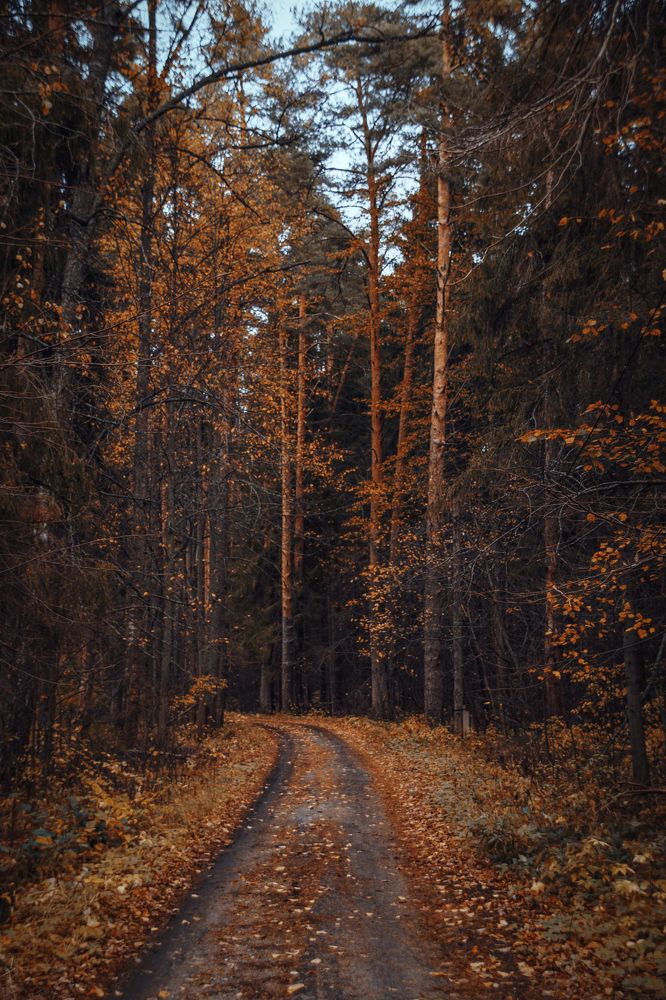 Photograph by Елена Ефимова