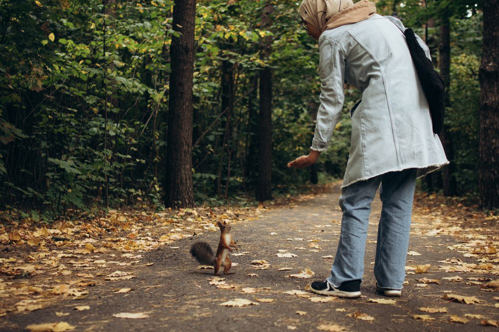 Photograph by Гузель Миникаева