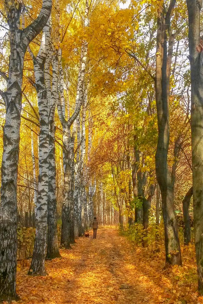 Фотография автора Алексей Карташов