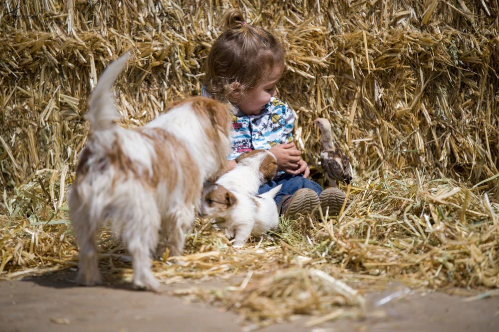 Фотография автора Mohammed sajd