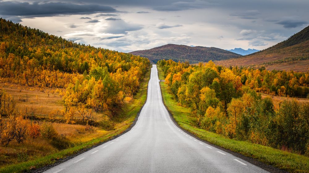 Фотография автора Katrin Lillenthal