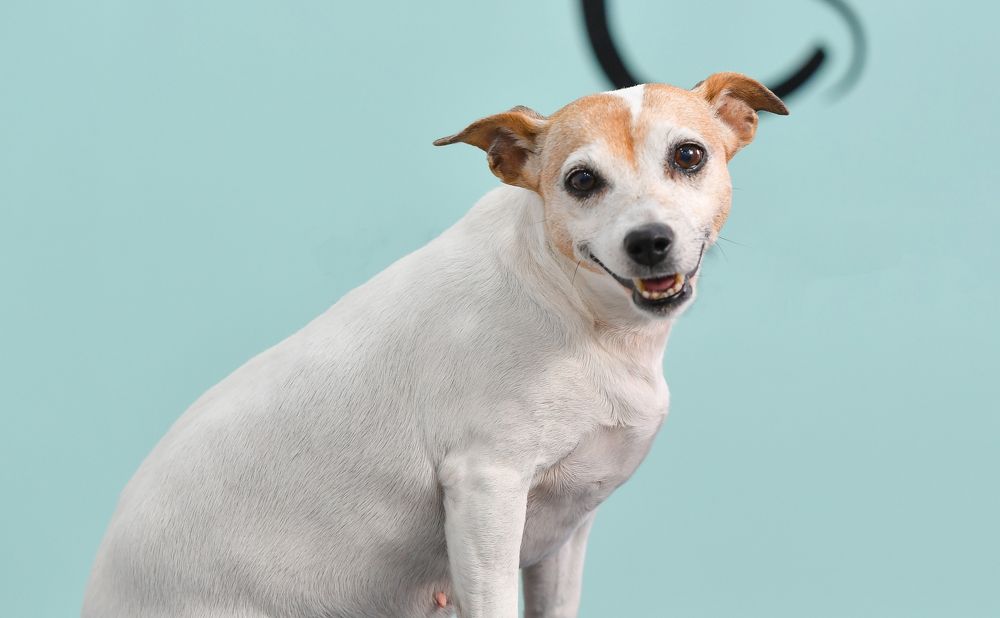 Photograph by Kaouche Mohamed