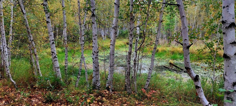 Photograph by Анастасия