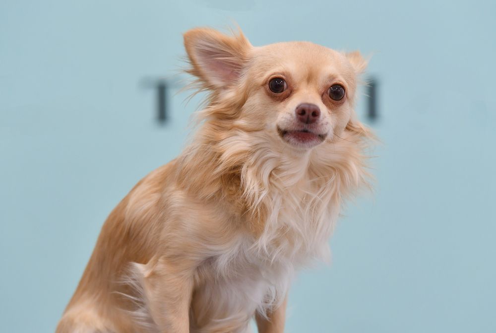 Photograph by Kaouche Mohamed