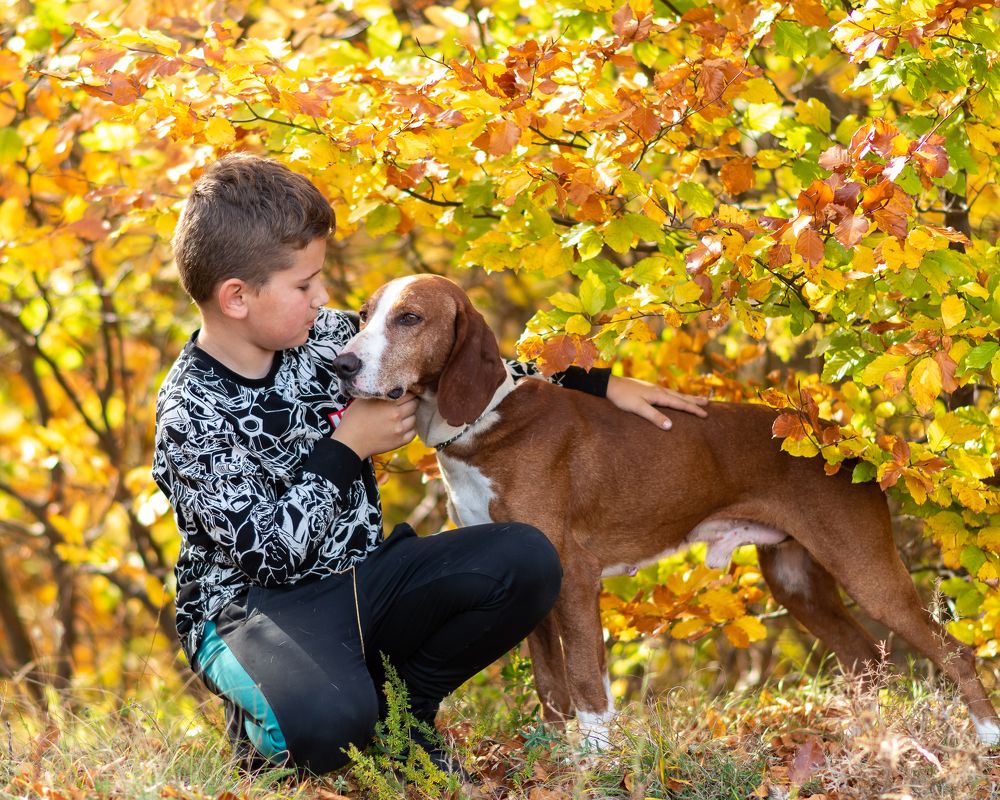 Photograph by Jasmin Džebo