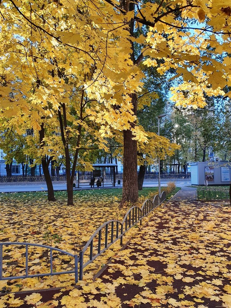 Московский дворик