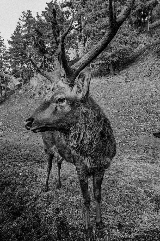 Photograph by Инна Адамович