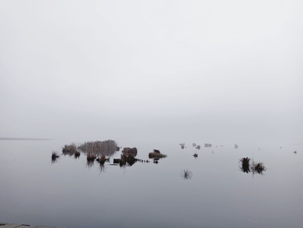 Photograph by Olga Smirnova