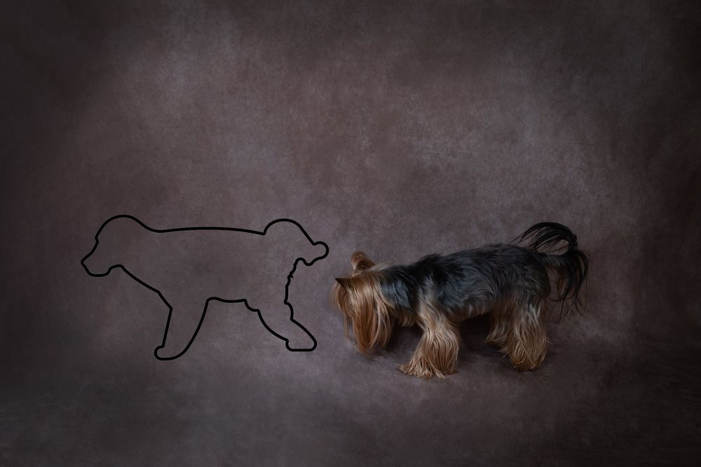 Photograph by Ilias Kapsomenakis