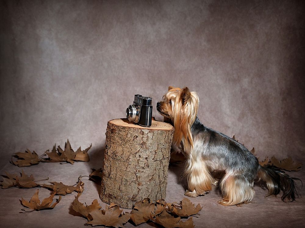 Photograph by Ilias Kapsomenakis