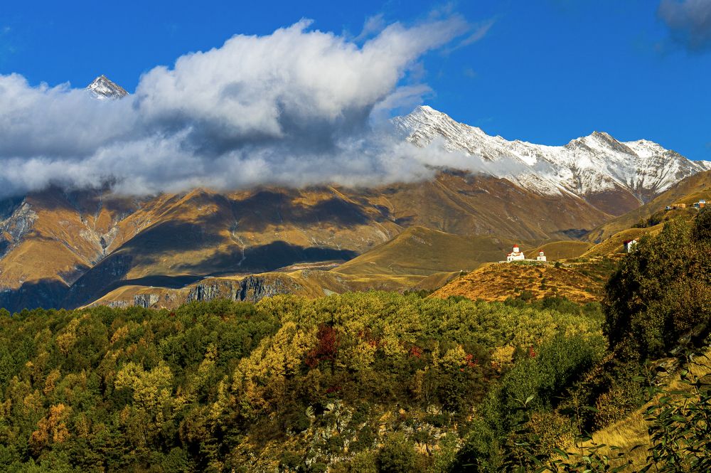 Photograph by Alex Kalpus