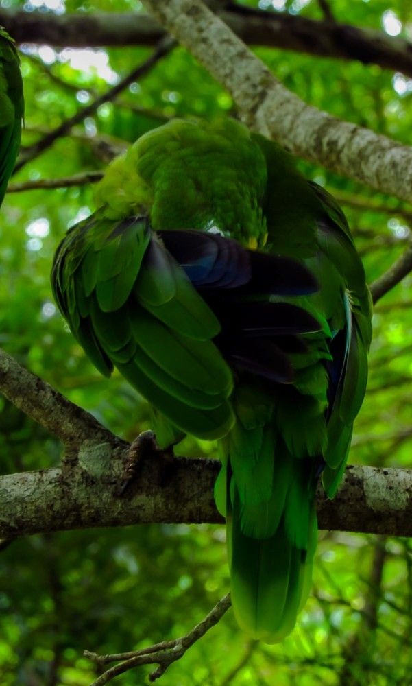 Photograph by Luis Alfredo Morales Torres