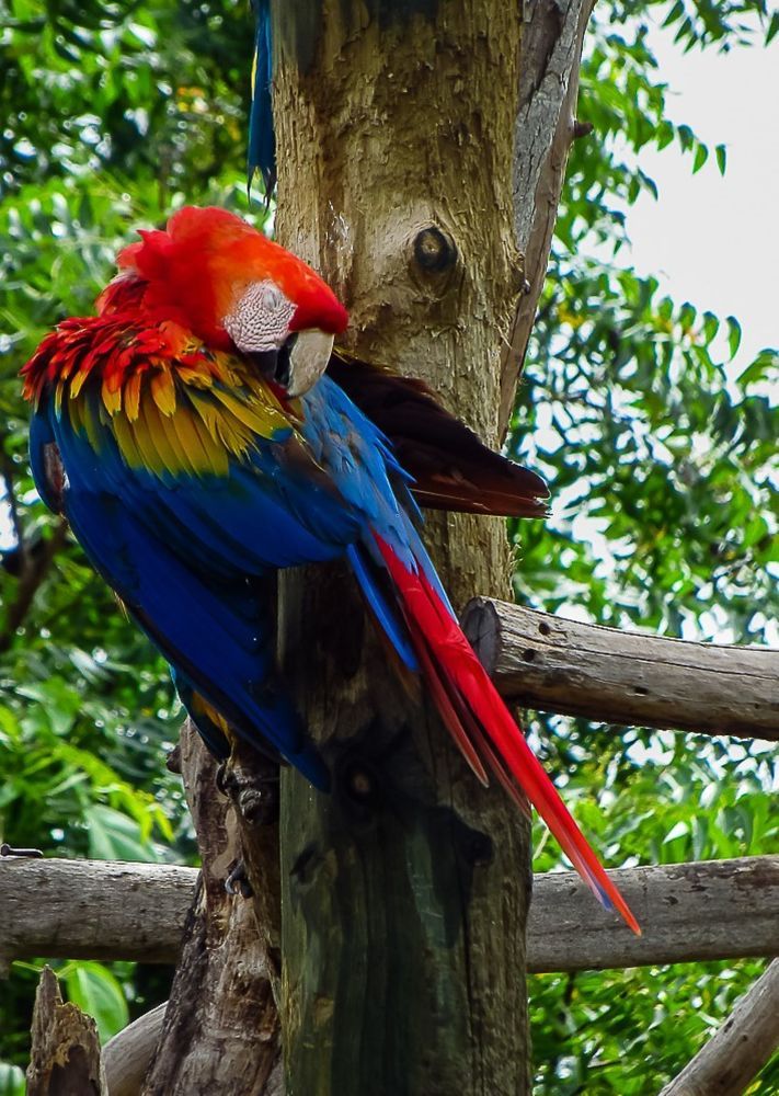 Photograph by Luis Alfredo Morales Torres