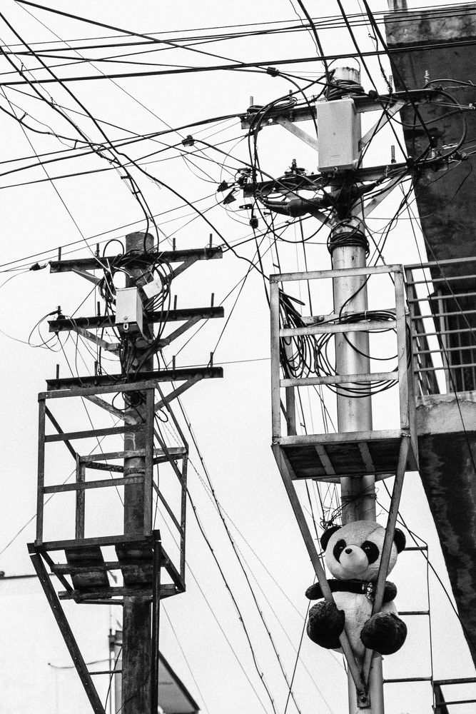 Photograph by Ольга Козлова