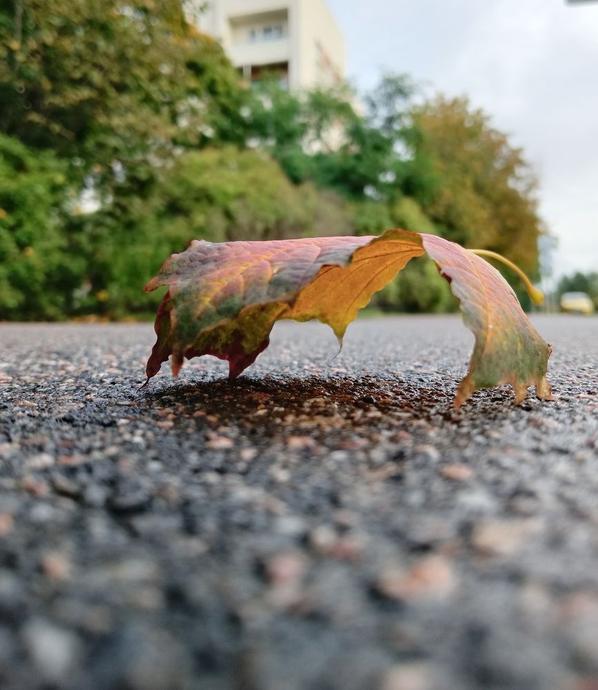 Одиночество