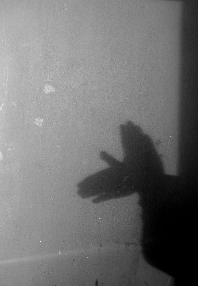 Photograph by Ирина Петракович