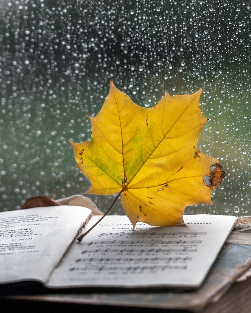 Photograph by Михаил