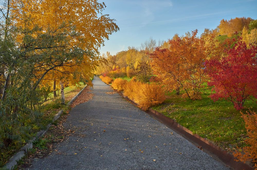 Photograph by Андрей Коротецкий