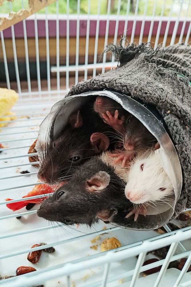 Photograph by Кадырова Анастасия